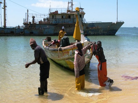 Fisheries Scientists Launch Independent Effort to Expand Sustainable Practices to Africa, Asia